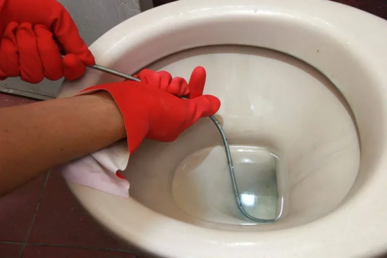 clogged_toilet_cleaning.webp