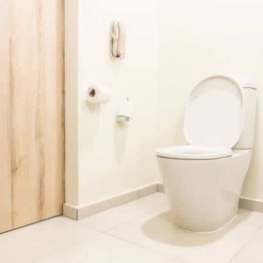 D_shape_toilet_seat.jpeg