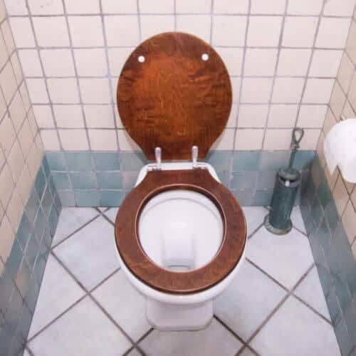 wooden_toilet_seat_cleaning.jpeg