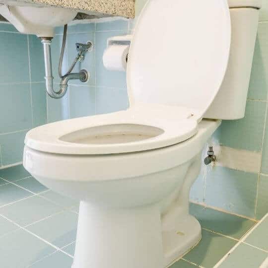 used_toilet_seat.jpeg
