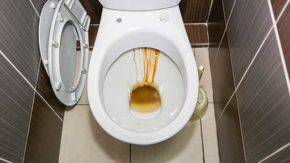 rust_in_toilet bowl.jpeg