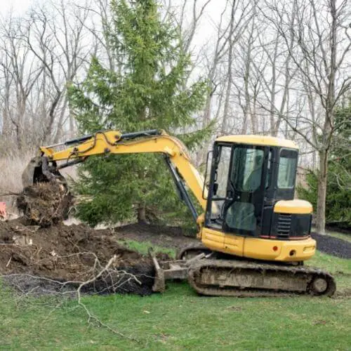 backhoe_removing_tree_roots_in_yard.jpeg