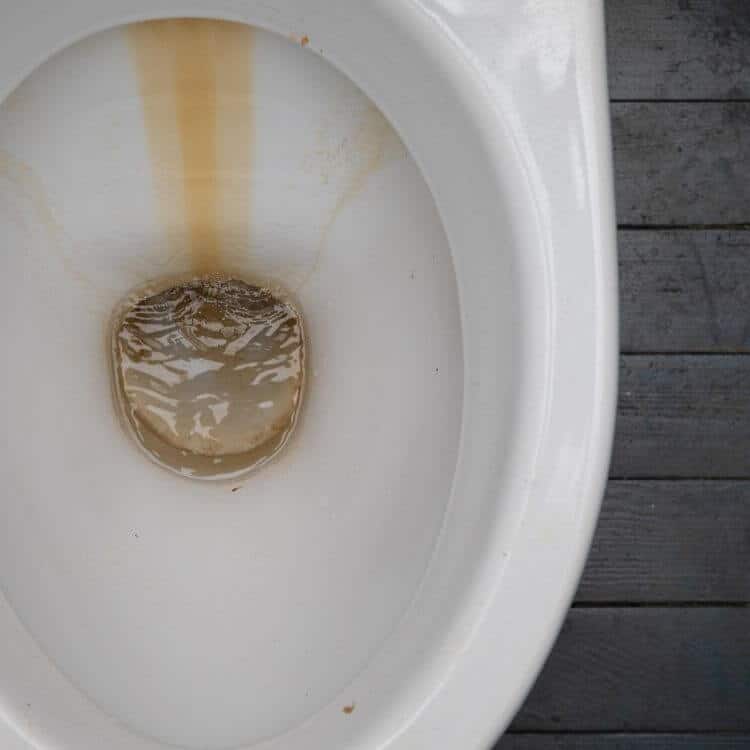 rust_in_toilet_bowl.jpeg