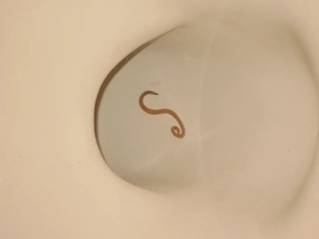 red_worm_in_toilet